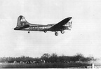 B-17G 42-31235 SU*C, "GOIN DOG"